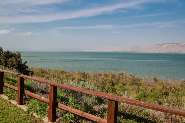 Ohalo Manor Hotel (Kinneret)